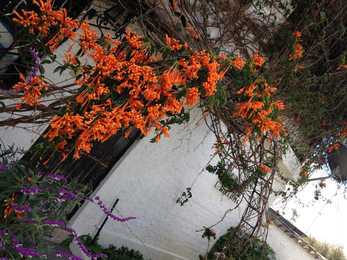 Mansion Samzara Hosteleria Sangolqui ภายนอก รูปภาพ